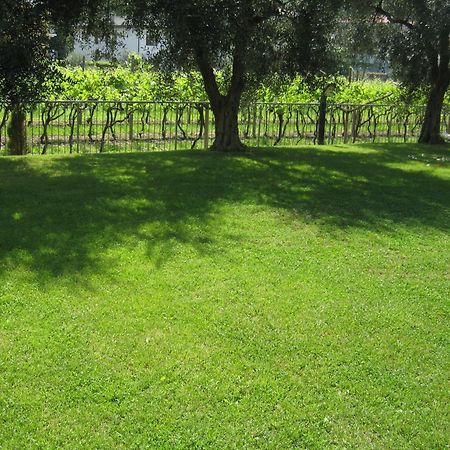 Aparthotel Casa Carla Torbole Sul Garda Exterior foto